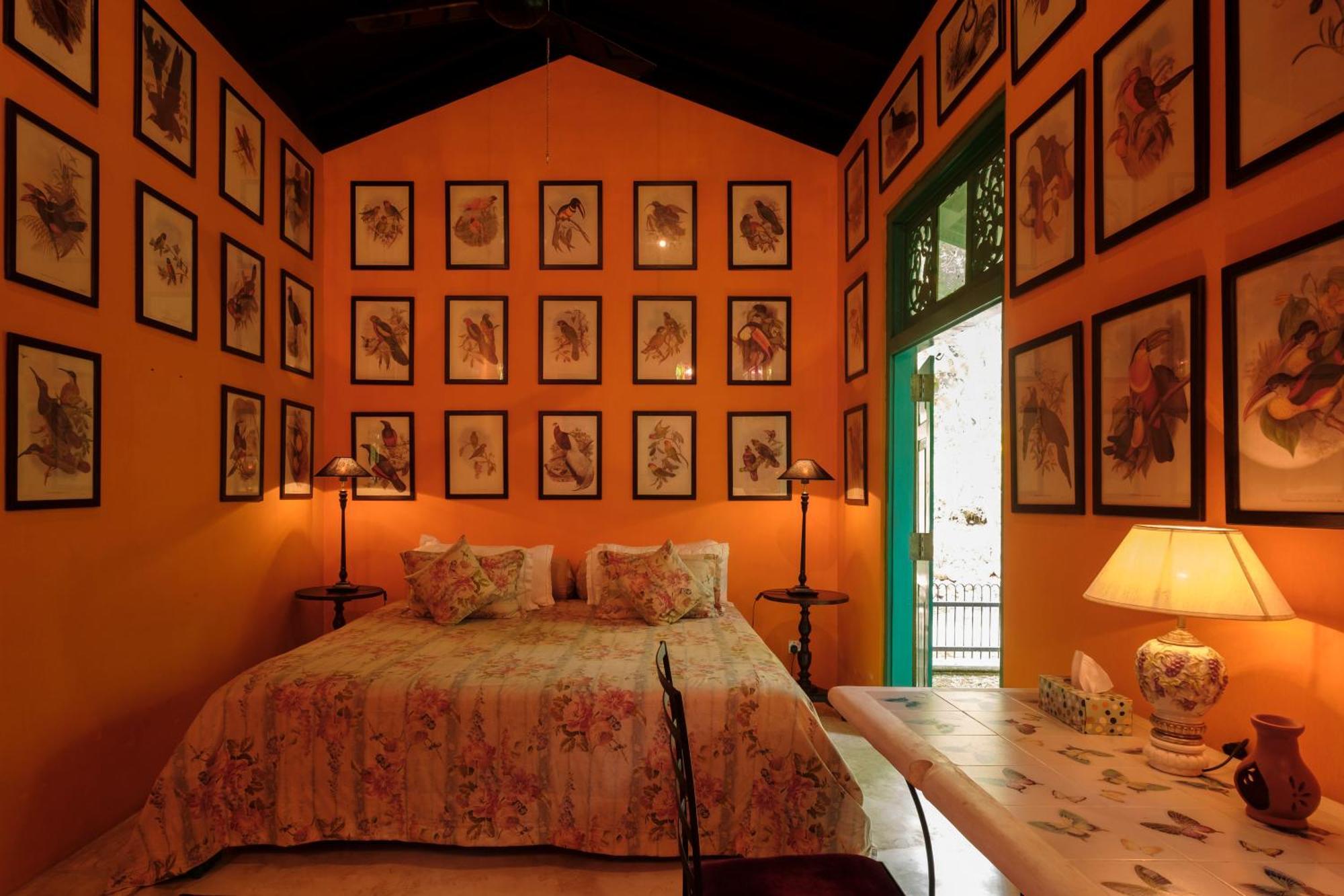 Hotel Casa Heliconia Gampaha Esterno foto