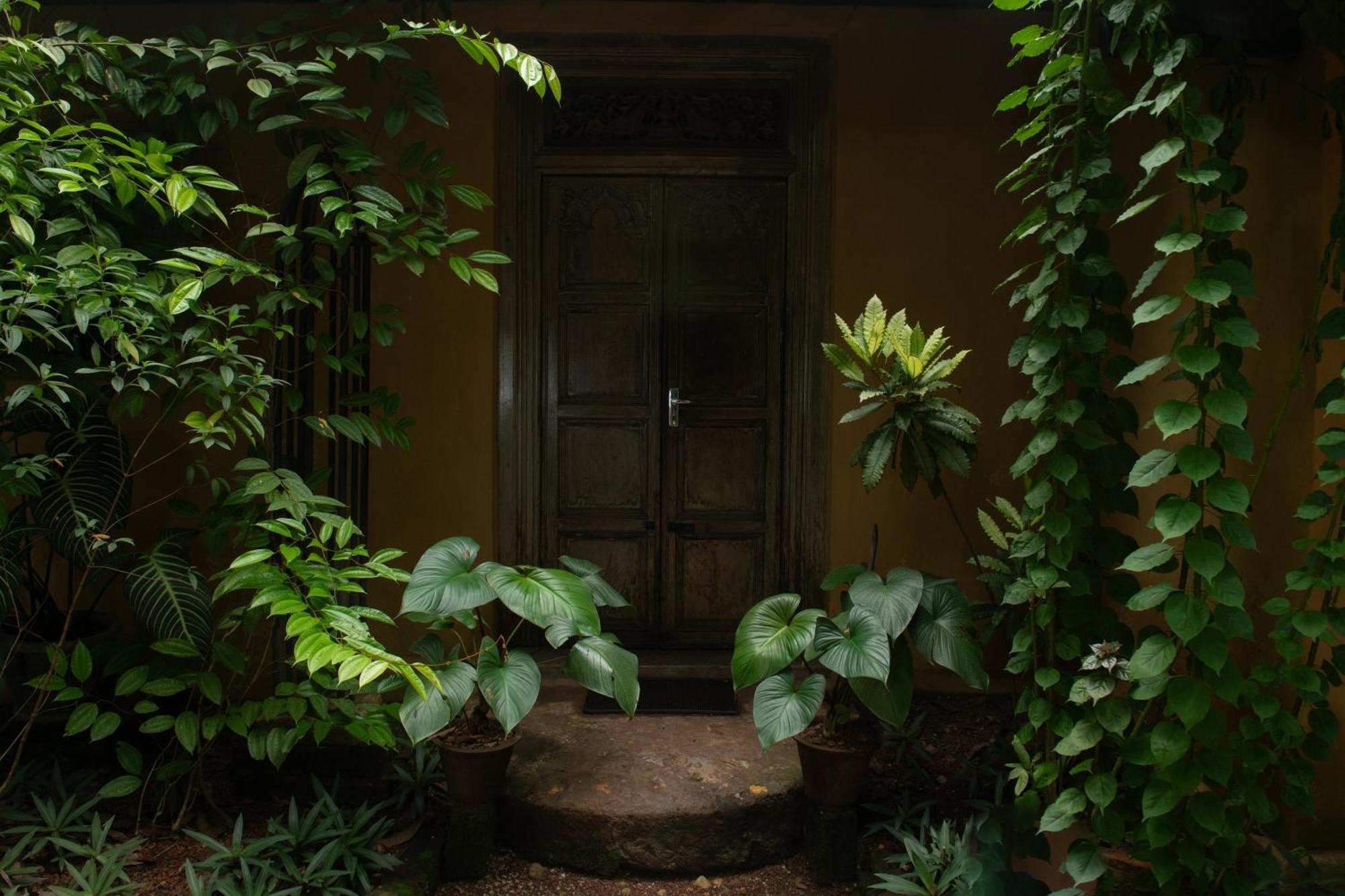 Hotel Casa Heliconia Gampaha Esterno foto